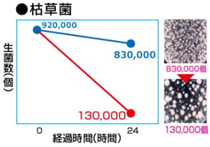 枯草菌