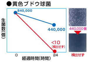 黄色ブドウ球菌